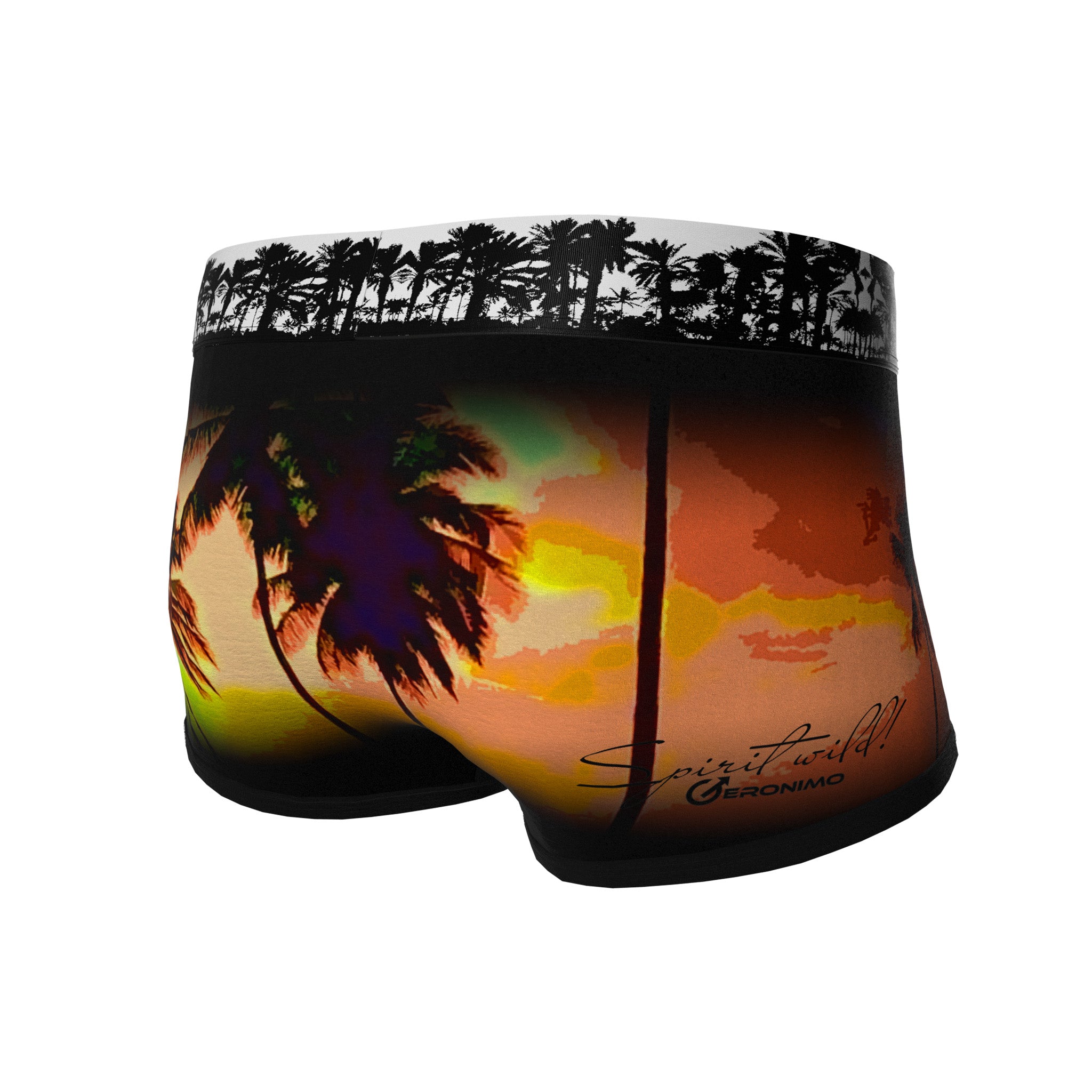 Мъжки боксерки модел 1763b2