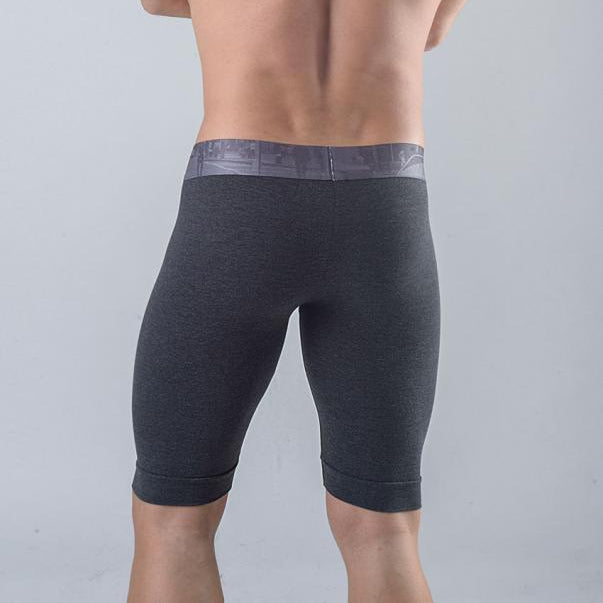 Мъжки дълги боксерки модел 1761b9