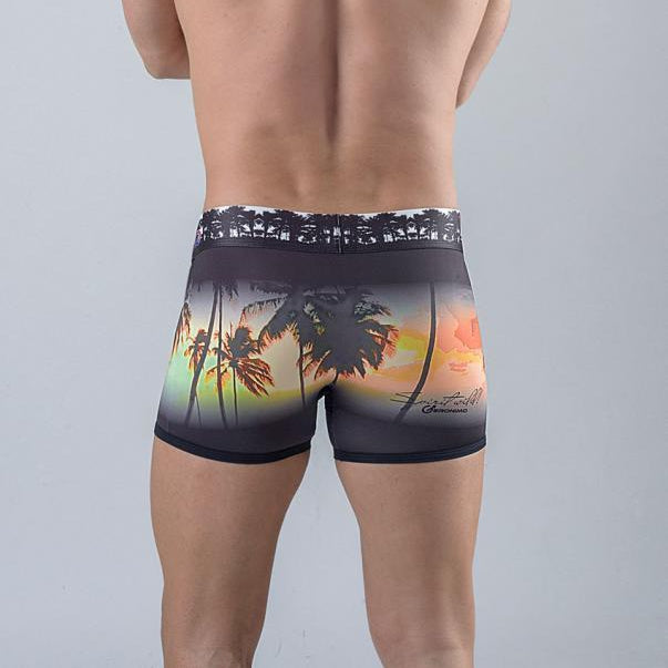 Мъжки боксерки модел 1763b1