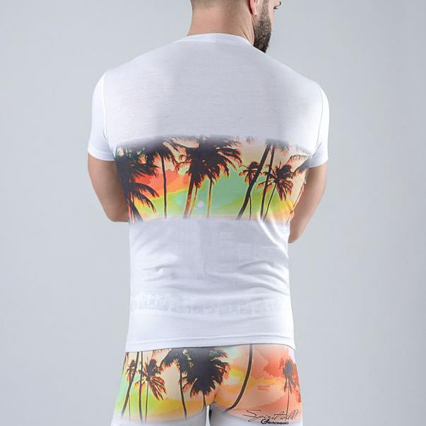 МЪЖКА ТЕНИСКА КЪС РЪКАВ 1763t3