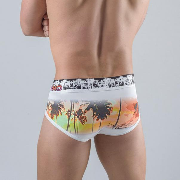 Мъжки слип модел 1763s2