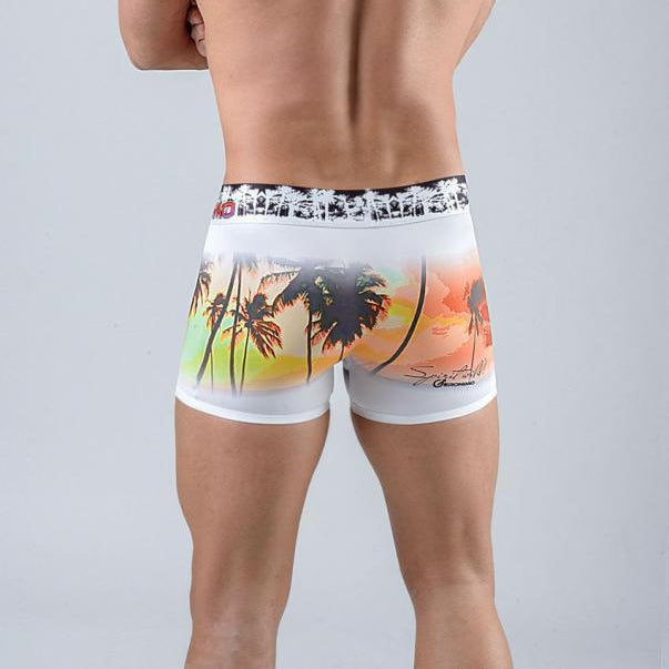 Мъжки боксерки модел 1763b1