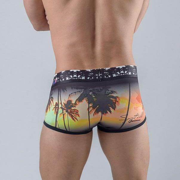 Мъжки боксерки модел 1763b2