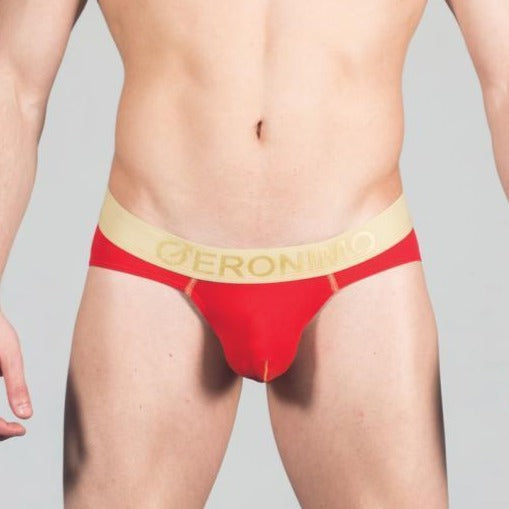 Мъжки бикини модел 1663s3
