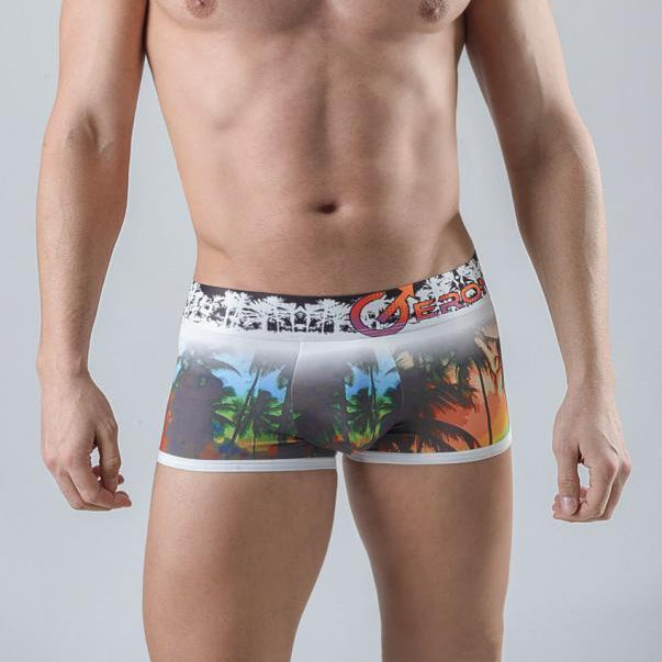 Мъжки боксерки модел 1763b2