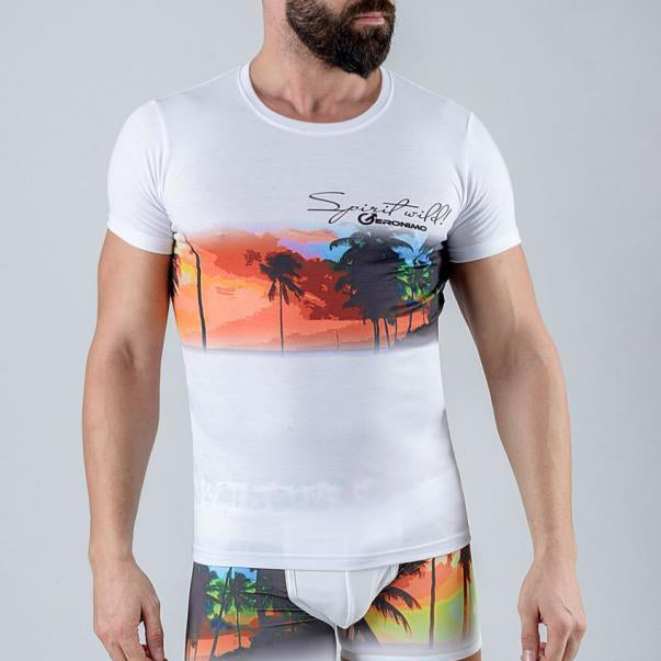 МЪЖКА ТЕНИСКА КЪС РЪКАВ 1763t3