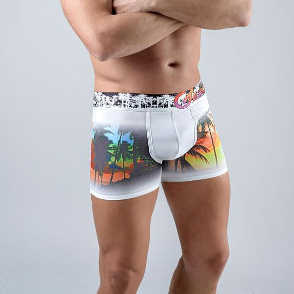 Мъжки боксерки модел 1763b1