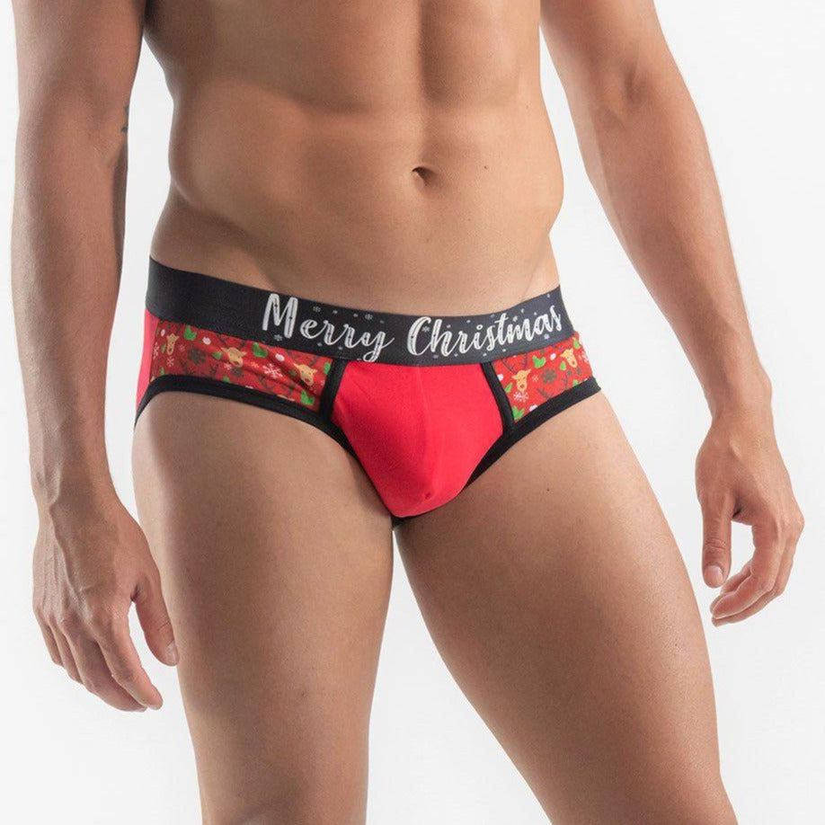 МЪЖКИ КОЛЕДНИ СЛИПОВЕ МОДЕЛ 19xms04s2