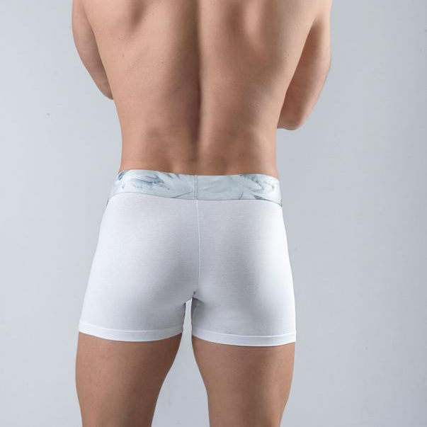 Мъжки боксерки модел 1764b1