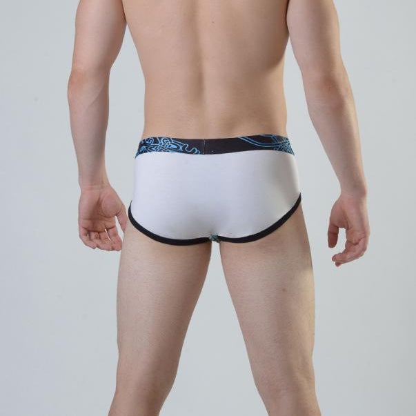 Мъжки слип модел 1811s22