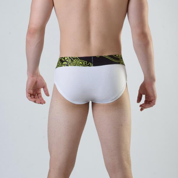 Мъжки слип модел 1811s12