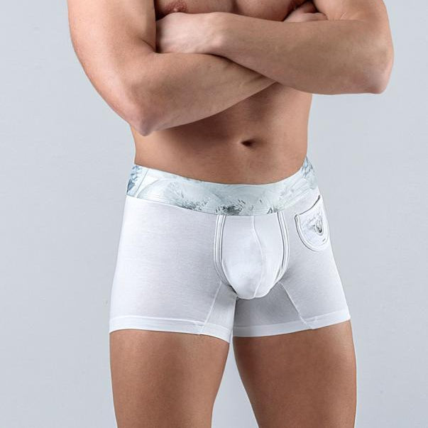 Мъжки боксерки модел 1764b1